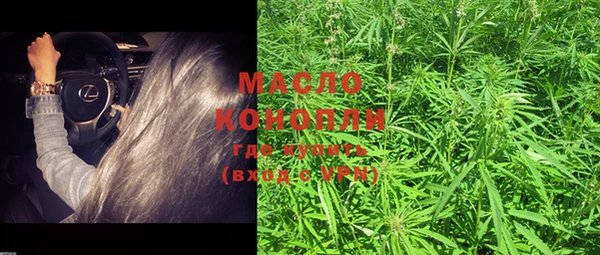 прущие грибы Каменногорск