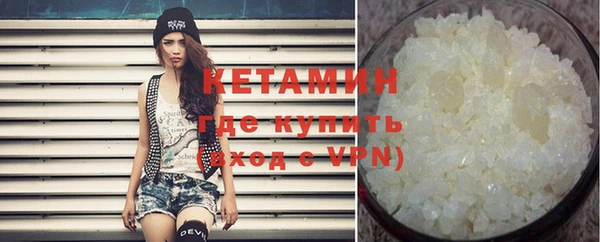 прущие грибы Каменногорск