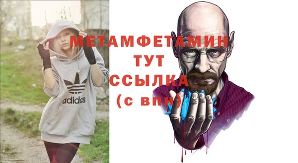 прущие грибы Каменногорск