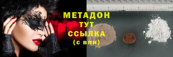 прущие грибы Каменногорск
