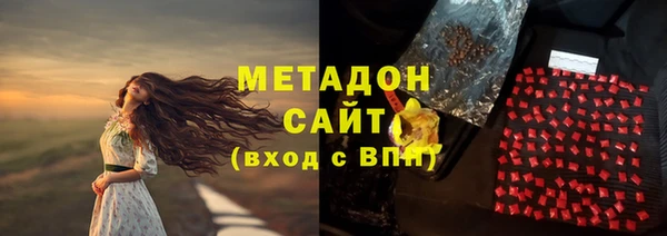 прущие грибы Каменногорск