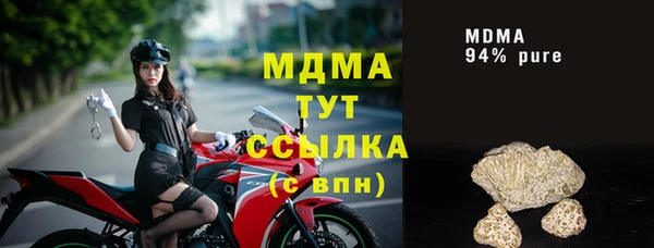 прущие грибы Каменногорск