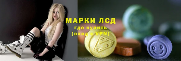 прущие грибы Каменногорск