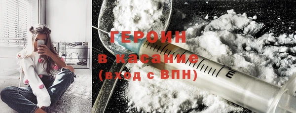 прущие грибы Каменногорск