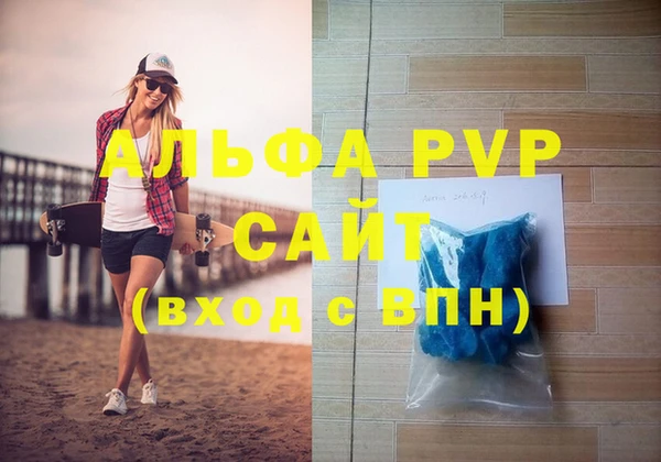 прущие грибы Каменногорск