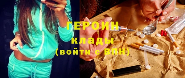 прущие грибы Каменногорск
