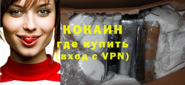 прущие грибы Каменногорск