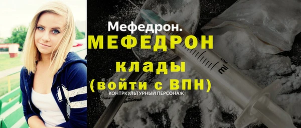 прущие грибы Каменногорск