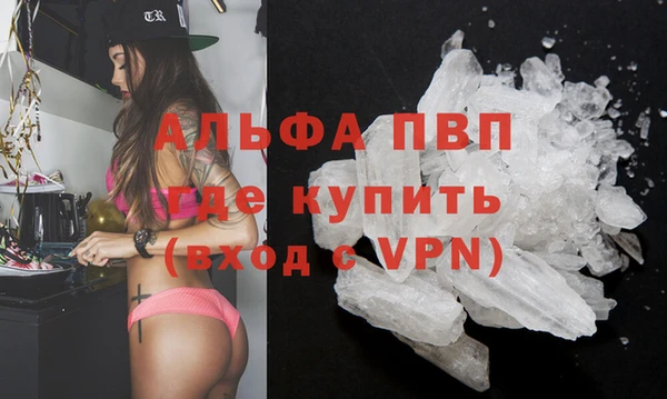 прущие грибы Каменногорск