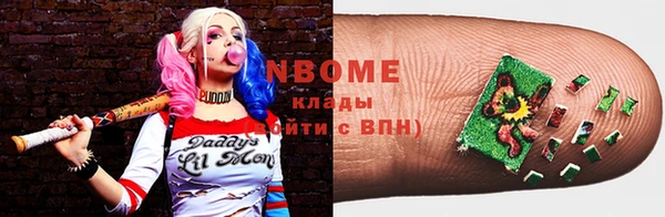 прущие грибы Каменногорск
