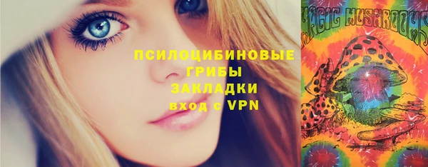 прущие грибы Каменногорск