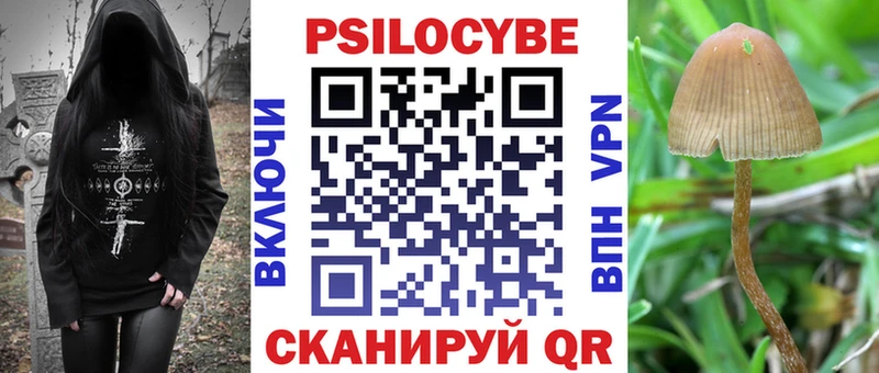 Псилоцибиновые грибы ЛСД  Купить закладки  Лесозаводск 