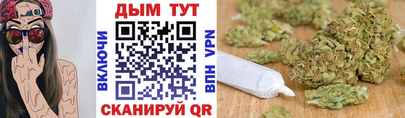Шишки марихуана конопля  Купить закладки  Лесозаводск 